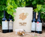 Thưởng Thức Hương Vị Quyến Rũ của Rượu Vang Lá Tây Ban Nha