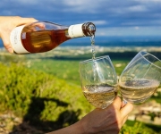 Vang Và Du Lịch: Những Chai Vang Nhỏ Gọn Dành Cho Chuyến Đi Hè