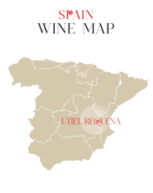 Rượu vang Tây Ban Nha Enterizo Crianza