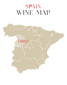 Rượu vang Pháp Terre D’Abouriou