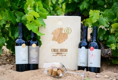 Thưởng Thức Hương Vị Quyến Rũ của Rượu Vang Lá Tây Ban Nha