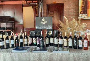 Thưởng Vang Mùa Hè: Gợi Ý Những Loại Rượu Vang Tuyệt Vời Cho Ngày Nóng